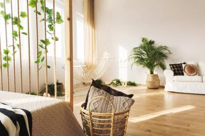 ​螺纹铁怎么移植