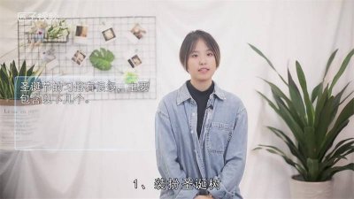 ​在圣诞节节期 传统圣诞节