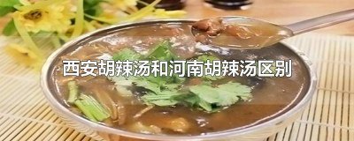 ​西安胡辣汤和河南胡辣汤区别