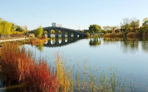 联系上下文,理解“一湖金水欲溶秋”的意思是什么?