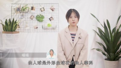 ​仙人球花语象征什么? 仙人球代表的花语是什么