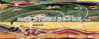 ​纵波是上下颠簸还是水平摇晃