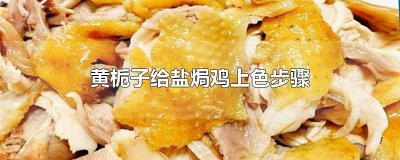 ​黄栀子怎么给盐焗鸡上色 栀子怎么给盐焗鸡上色