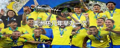 ​美洲杯哪一年 美洲杯杯几年一届?