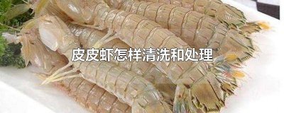 ​皮皮虾怎样清蒸比较好吃 清蒸皮皮虾做法窍门