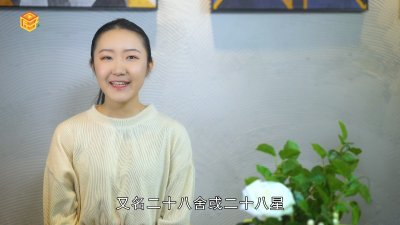 ​老黄历二十八星宿解释