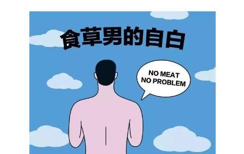 食草系男孩是什么意思