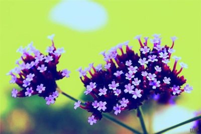 ​一家人整整齐齐(一家人整整齐齐健健康康应该比什么都重要)