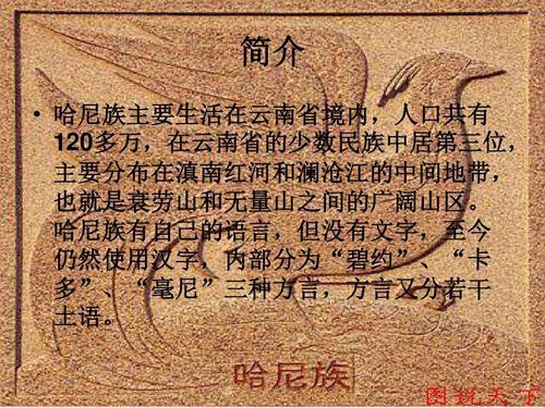 关于哈尼族的资料（关于哈尼族的资料简介）
