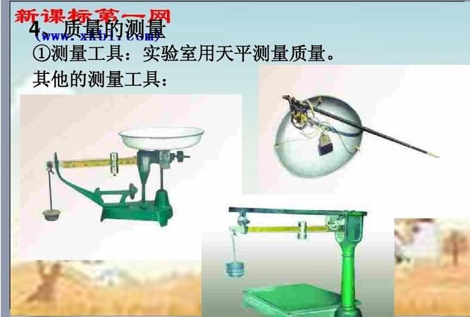 生活中测量质量的工具有哪些