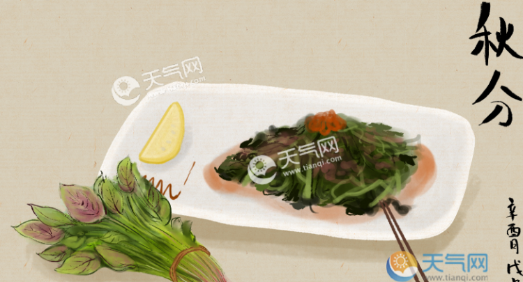 东北白菜秋分以后还长不长