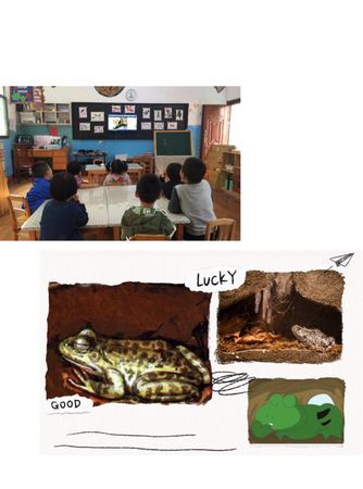 青蛙是怎样冬眠的?