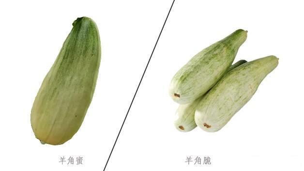 羊角蜜、羊角脆怎么区分?这4招,保你挑到真羊角蜜,又香又甜