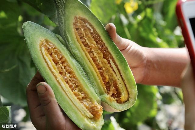 羊角蜜、羊角脆怎么区分?这4招,保你挑到真羊角蜜,又香又甜