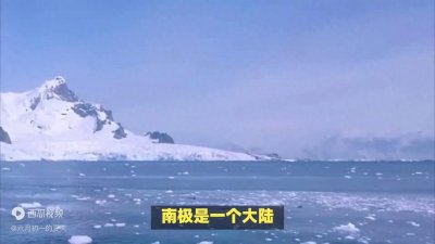 ​涨知识：南极和北极有什么不一样的地方？