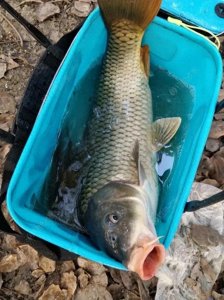 ​亩产翻倍！农村有一亩田养殖什么好？“过来人”给出以下三个建议