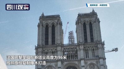 历时4年 法国巴黎圣母院塔尖重现