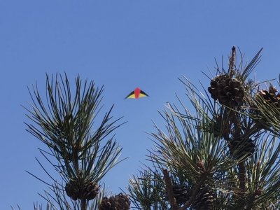 ​我听沈阳天空的轰鸣声