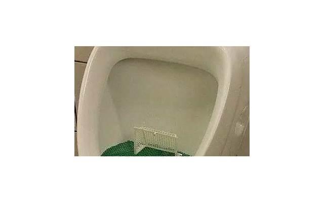 预防新型冠状病du宣传口号(节约用水倡议书200字)