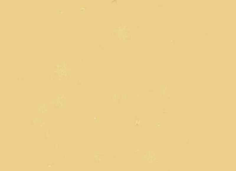 双子座命运: 做一个有勇气的人,掌控命运; 双子座命运: 做一个有勇气的人,掌控命运;