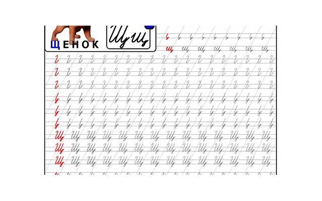 莆田封闭式学校有哪些【合肥封闭式小学学校有哪些】