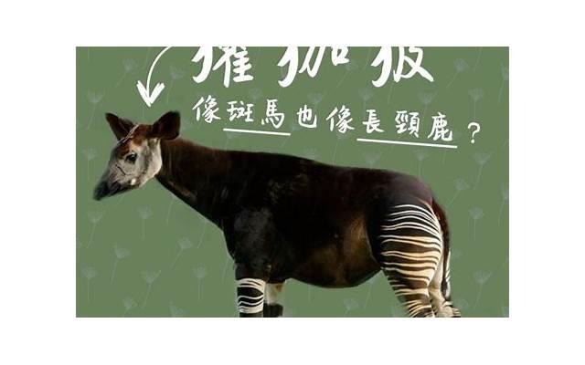  应该陪父母还是陪孩子成长