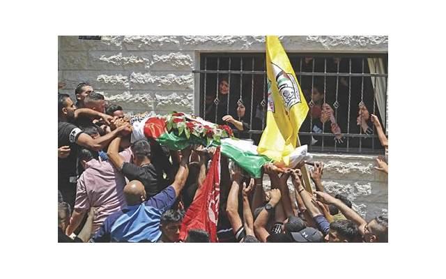 有没有微信撩妹神器下载的