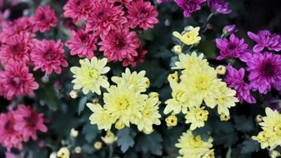 ​女人真正想分手，会有什么样的表现？答案很简单