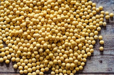 ​这些年农村种什么最挣钱？农民朋友：说的不对请留言！