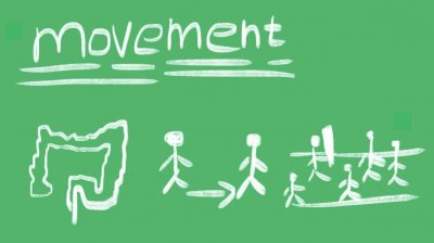 ​movement什么意思