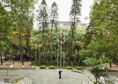 ​实拍先烈中路100号大院